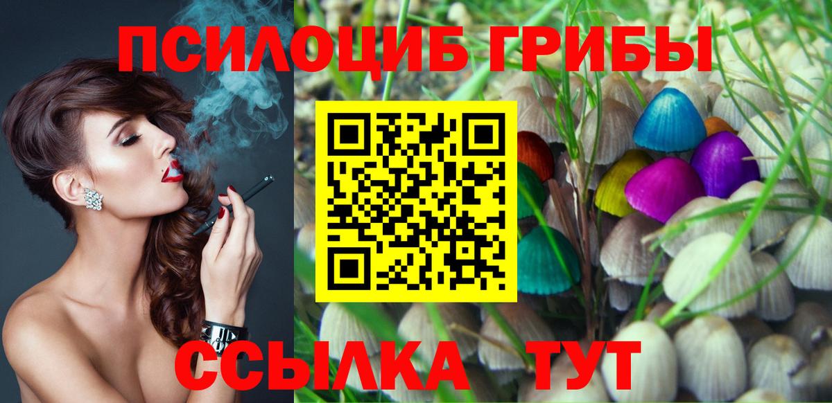 Псилоцибиновые грибы Psilocybine cubensis Новороссийск